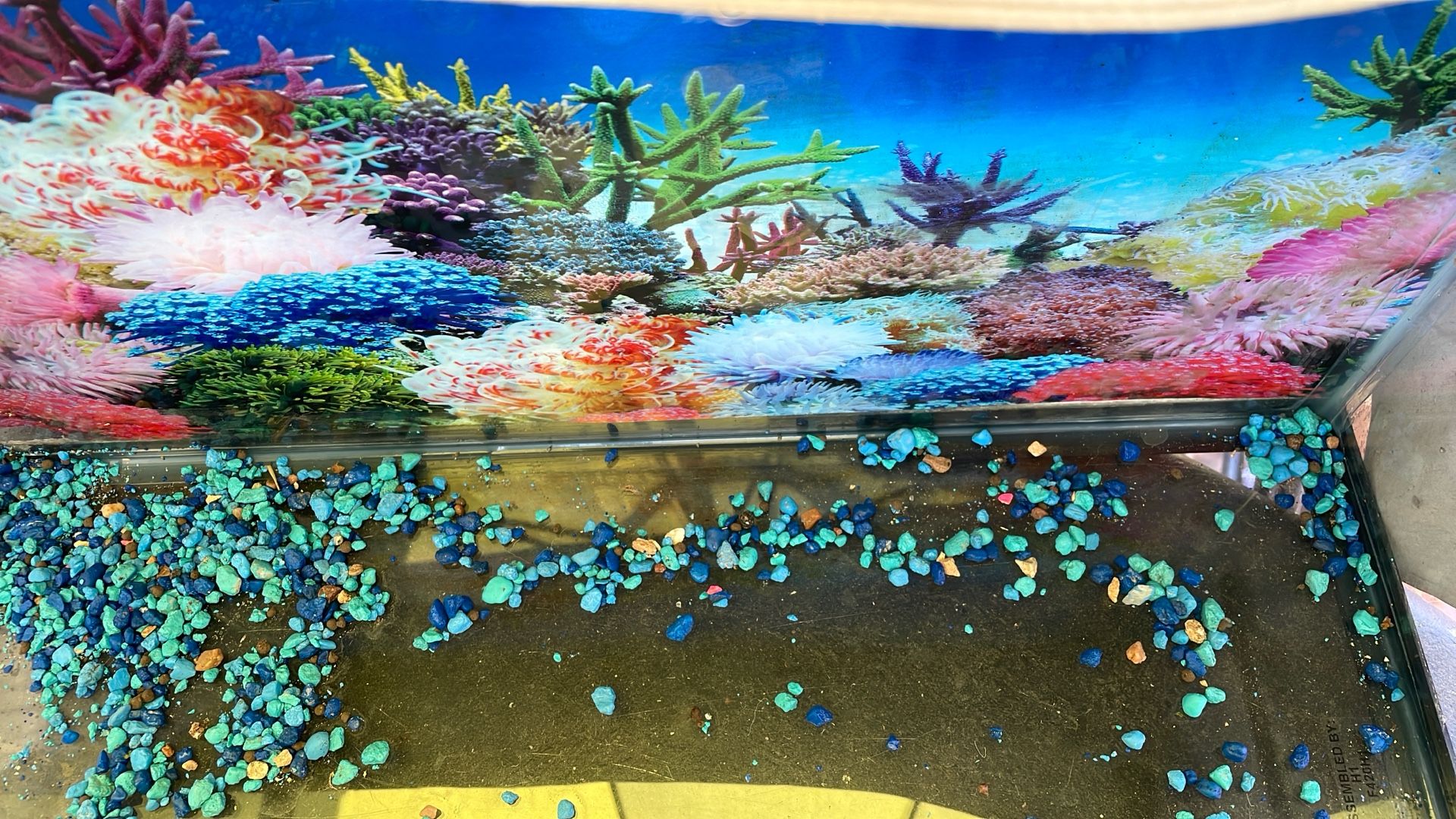 Aquarium 10 gallons add down when sold