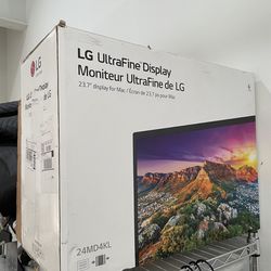 LG Ultrafine 24 Inch 4K Monitor