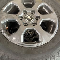 Bronco Wheels
