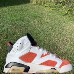 Jordan 6 Gatorade