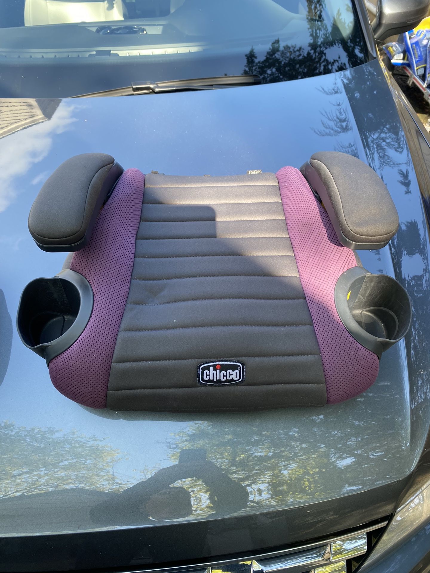 Car Seat Booster