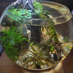 5 Gallon Bowl