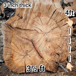 Red Oak 4-ft By 3 Ft Slabs For Resin Tables