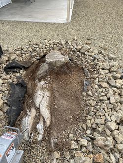 STUMP GRINDING!