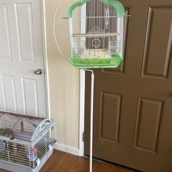Bird Case 