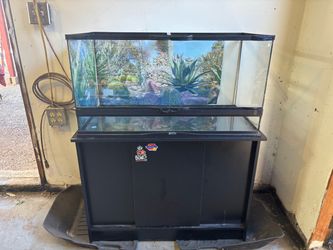 40 Gallon with Stand/Cabinet
