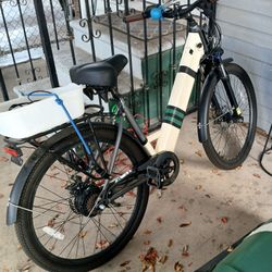 Electric Bike