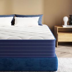 Full Sized mattress