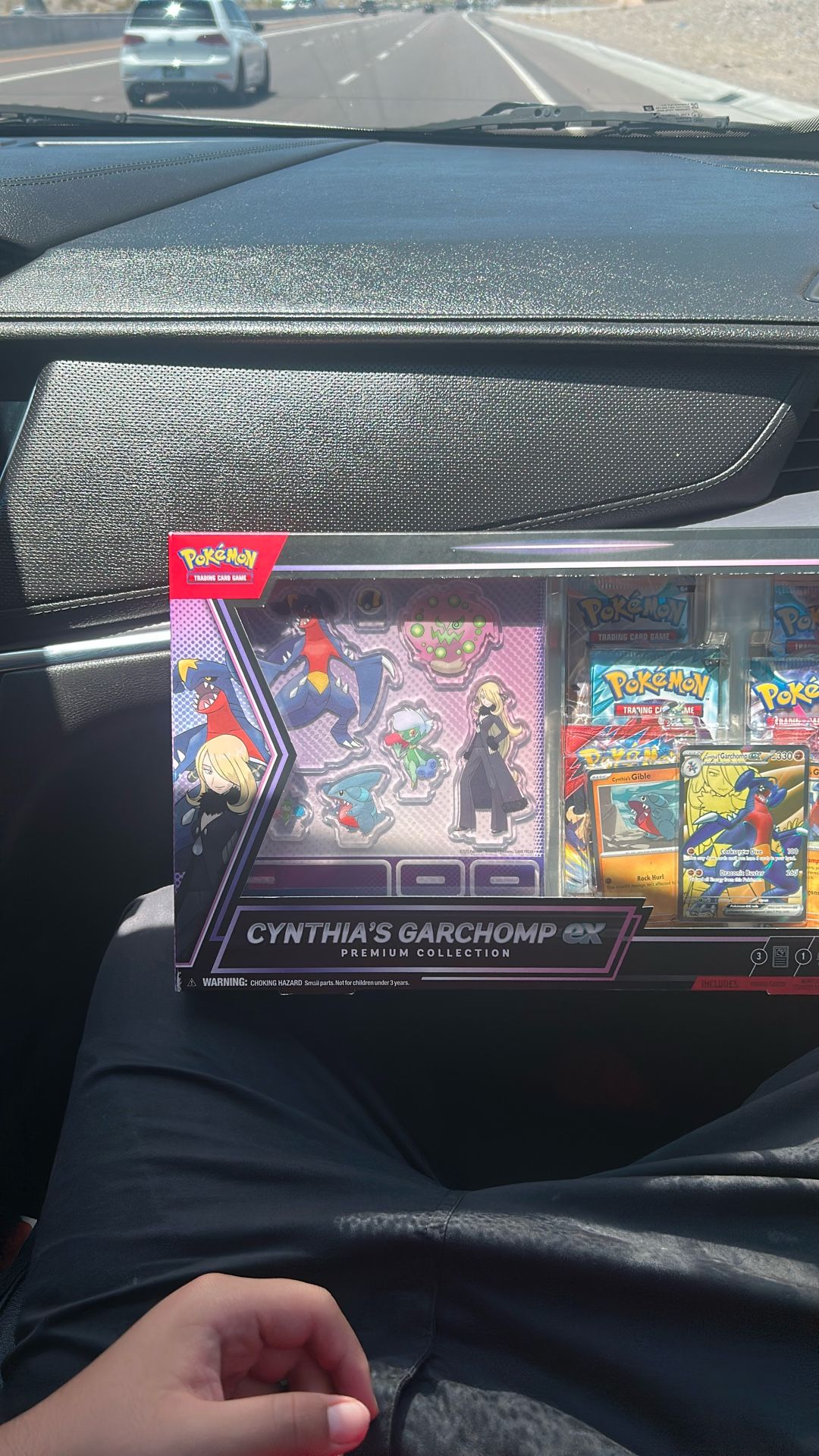 Cynthia’s Garchomp Ex