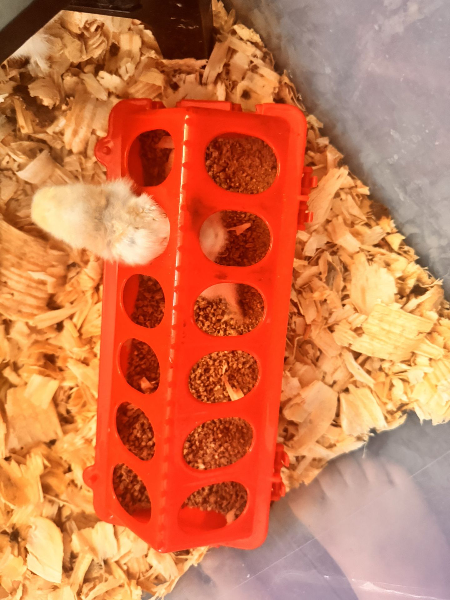 CHICKEN ITEMS