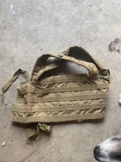 Chest protector
