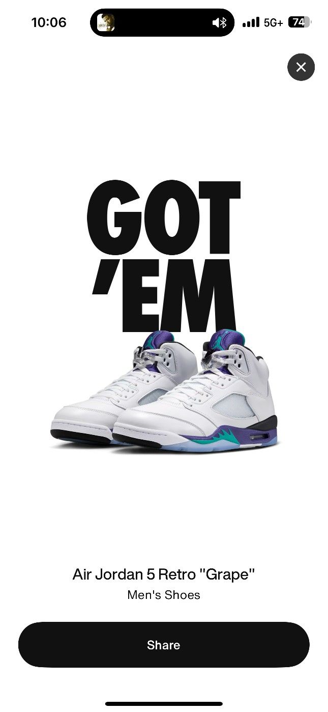 Jordan 5 Grapes