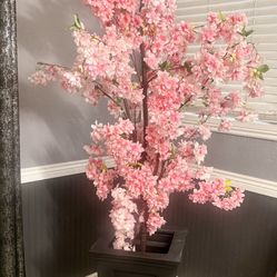 Cherry Blossom Tree