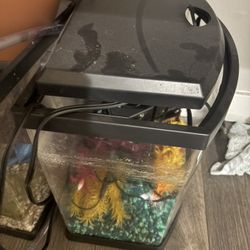 5 Gal Half Moon Tank