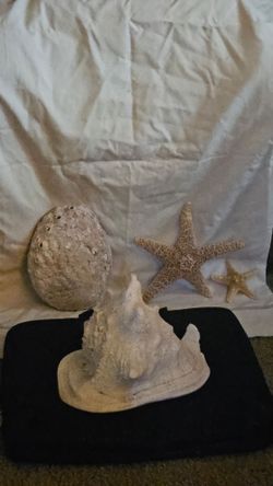 Rare Nautical (ocean) decor