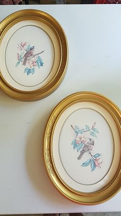 Bird pictures