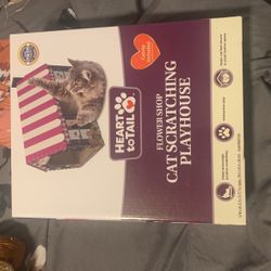 New Cat Scratching Playhouse 