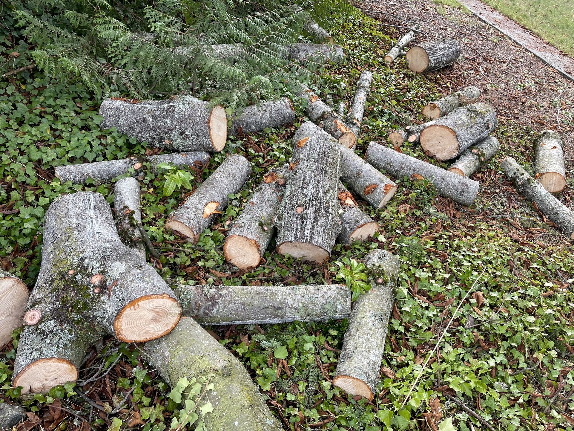 Firewood Round