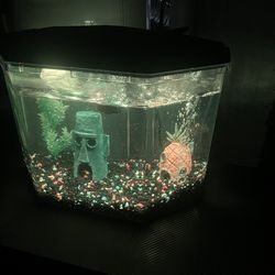 6-10 Gallon Aquarium 