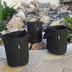 Grow BAGS, pkg of 3