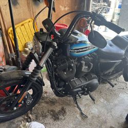 2018 Harley Davidson Iron 1200 