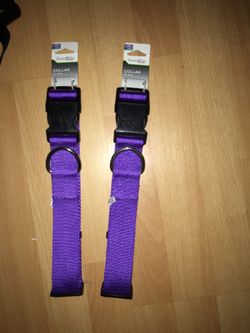 Good2go Purple Collar