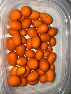Kumquats