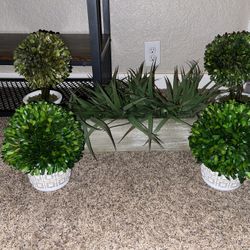 Home Decor 