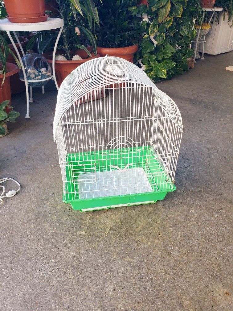 Bird Cage