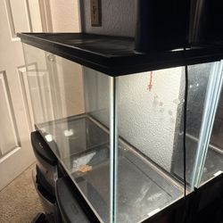 Reptile Enclosure 31”x13” 22Gal