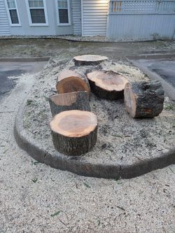Free Firewood Oak