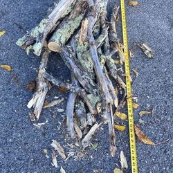 Firewood For Sale