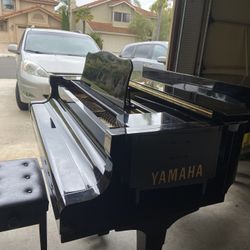 Yamaha C7 Conservatory Grand Piano 