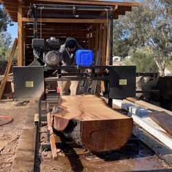 Sawmill Log Cutting