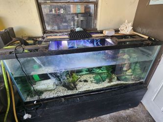 220 Gallon Aqueon Tank w Overflow