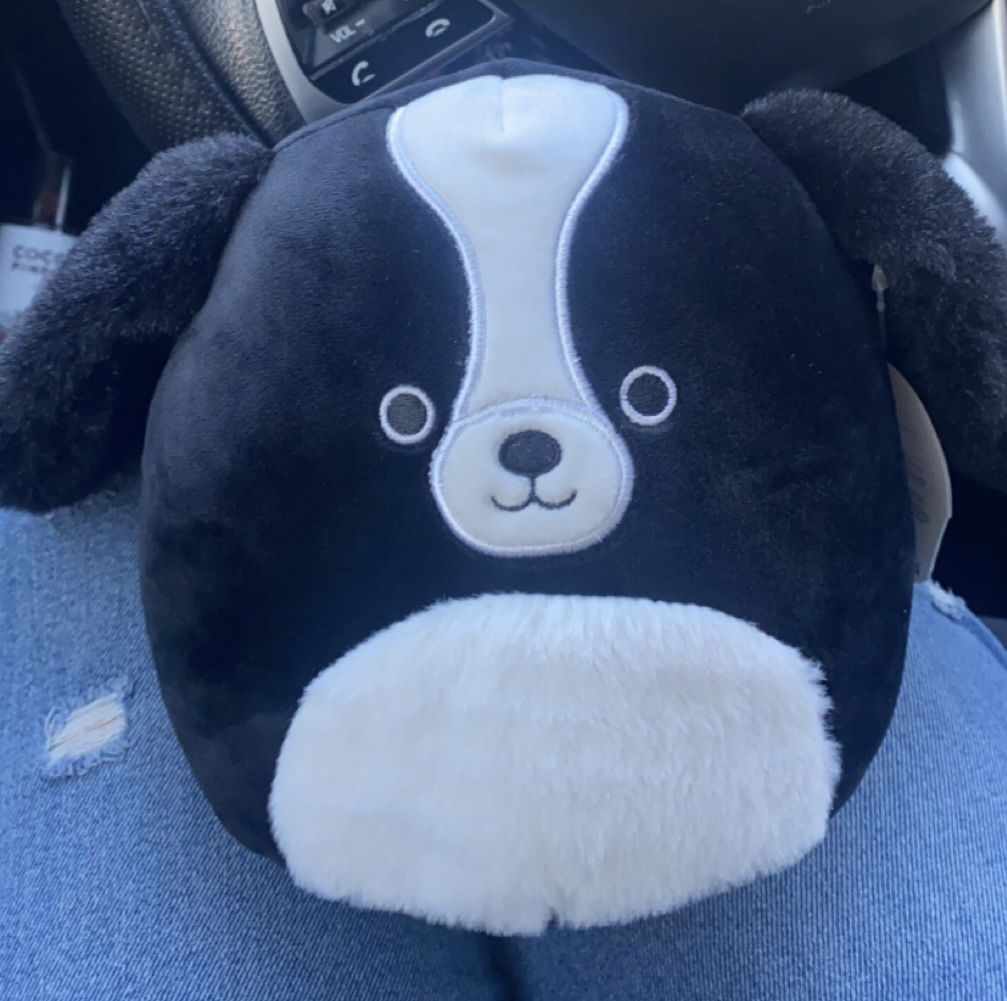 Nathaniel Cocker Spaniel Squishmallow 7.5 In