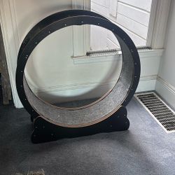 Large Cat Wheel