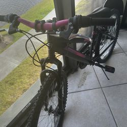 Pink Bike 