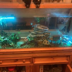 Fish Tank 75 Gal 