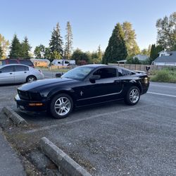 2006 mustang 