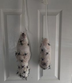 Macabre Halloween Decoration