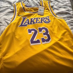 Lebron James Jersey