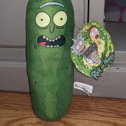Rick And Morty Pickle