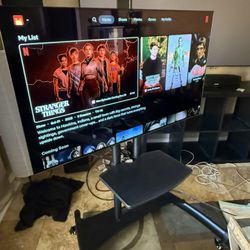 LG 48” OLED CX 4K TV+ Kanto Mobile TV Stand