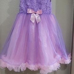 Purple and Pink Tulle Dress 6/7