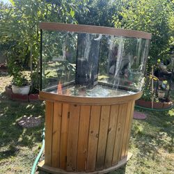 Corner fish tank / 50 gallon fish tank / 50 gallon corner fish tank / salt water aquariums