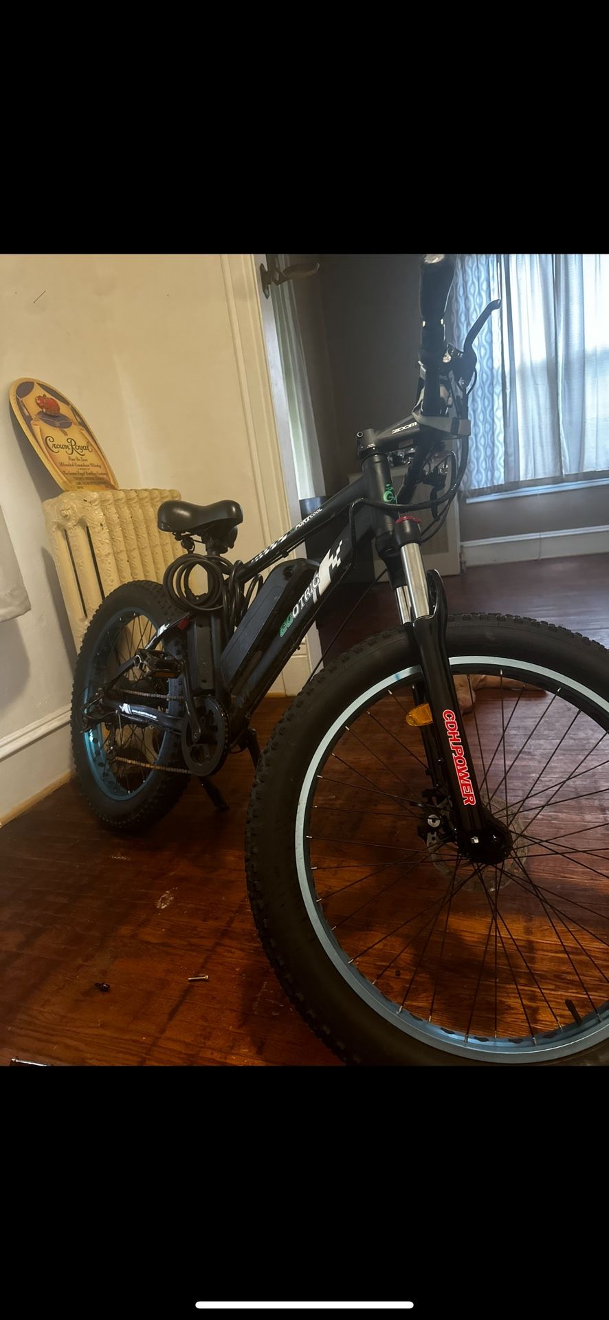 Eco Trick E - Bike 