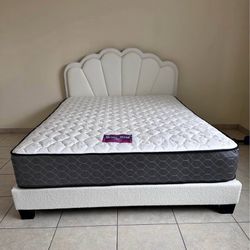 New Queen Sizes Bed With Mattress 