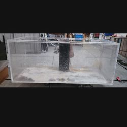 Fish Tank