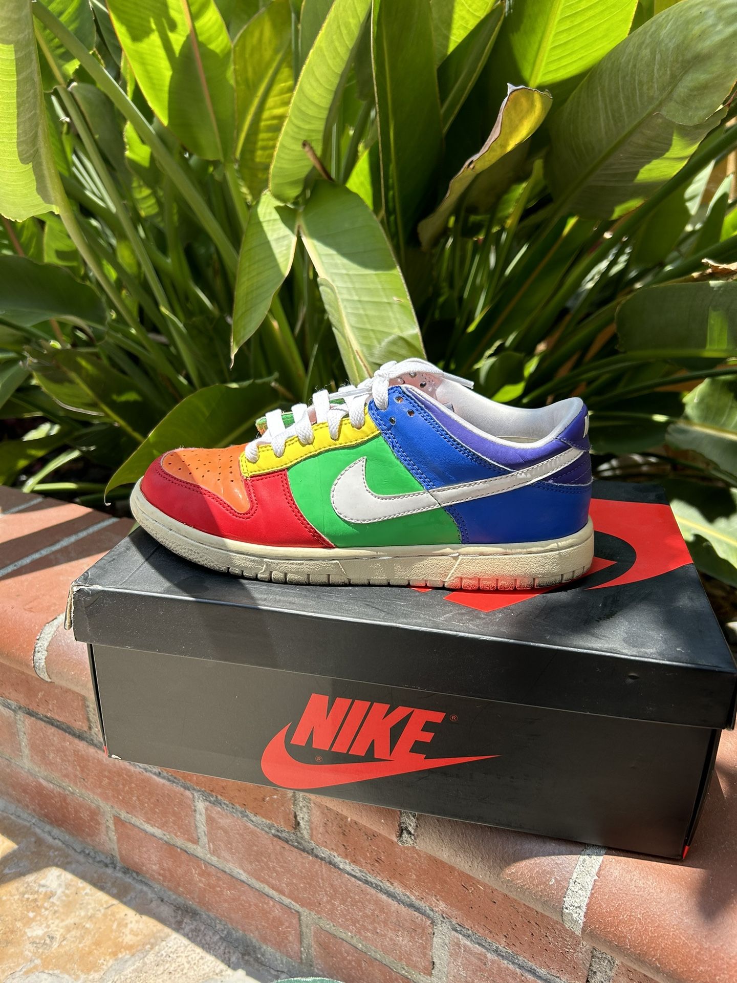 Old School Rainbow Nike Shoes